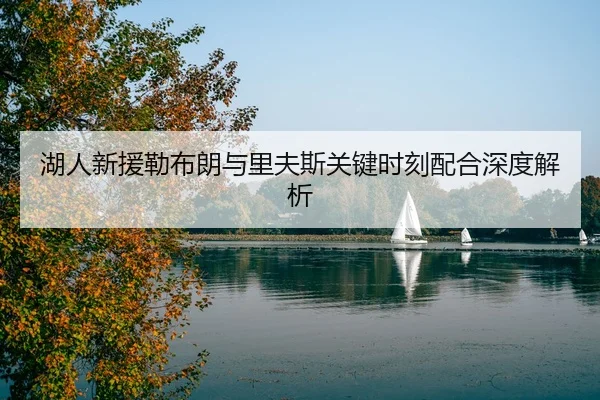 湖人新援勒布朗与里夫斯关键时刻配合深度解析